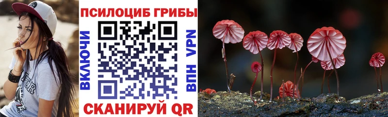 Галлюциногенные грибы Cubensis Урус-Мартан